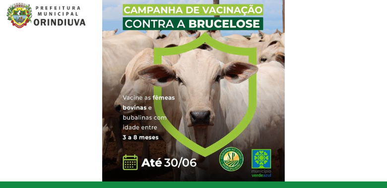 Vacinação